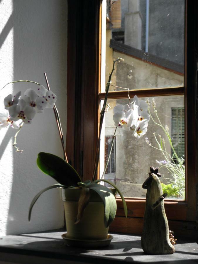 Al Vicolo Del Gallo Varallo Extérieur photo